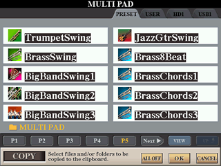 MULTPAD screen with all files selected for the COPY option